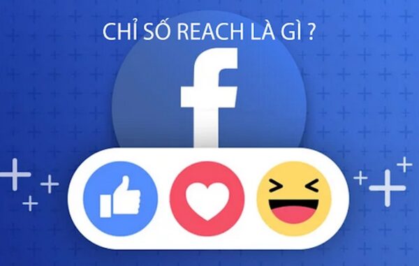 Reach là gì?