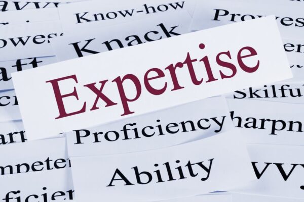 "Expertise" là danh từ trong tiếng Anh