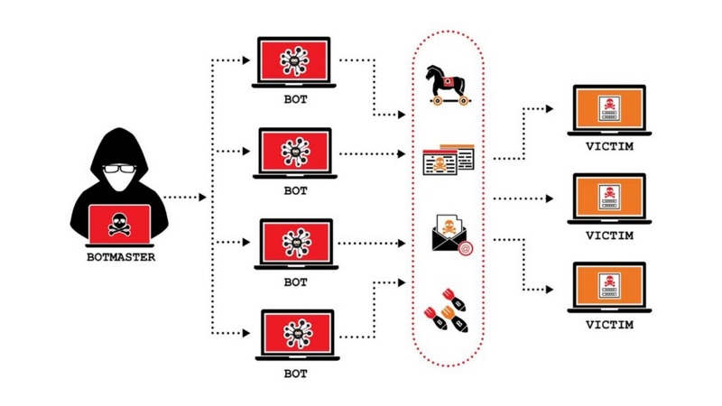 Các hình thức tấn công Botnet cơ bản