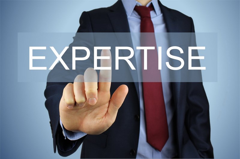 Cách sử dụng từ expertise trong câu