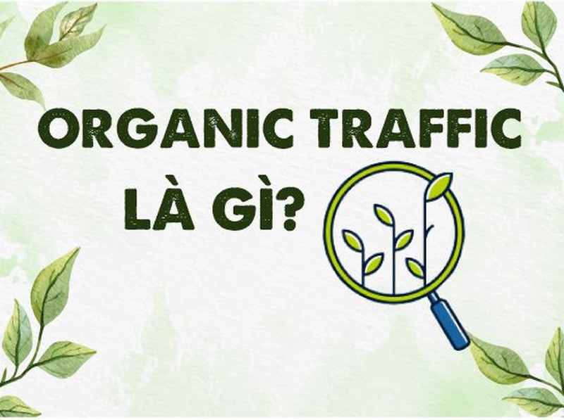 Organic traffic hay lưu lượng truy cập tự nhiên