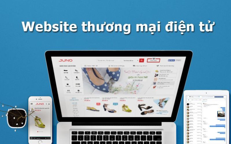 Thiết kế website thương mại điện tử với mức giá hợp lý, hỗ trợ tận tâm